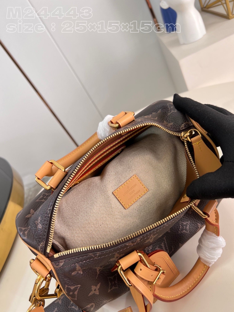 LV Speedy Bags